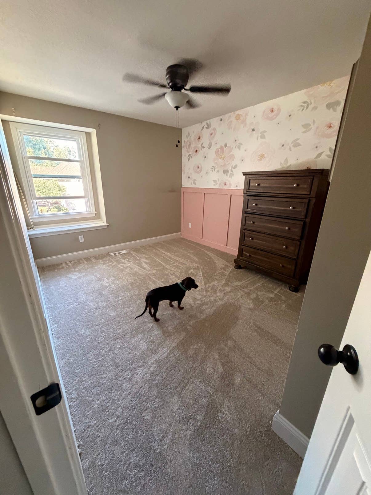 1BR, utilities included in Olathe