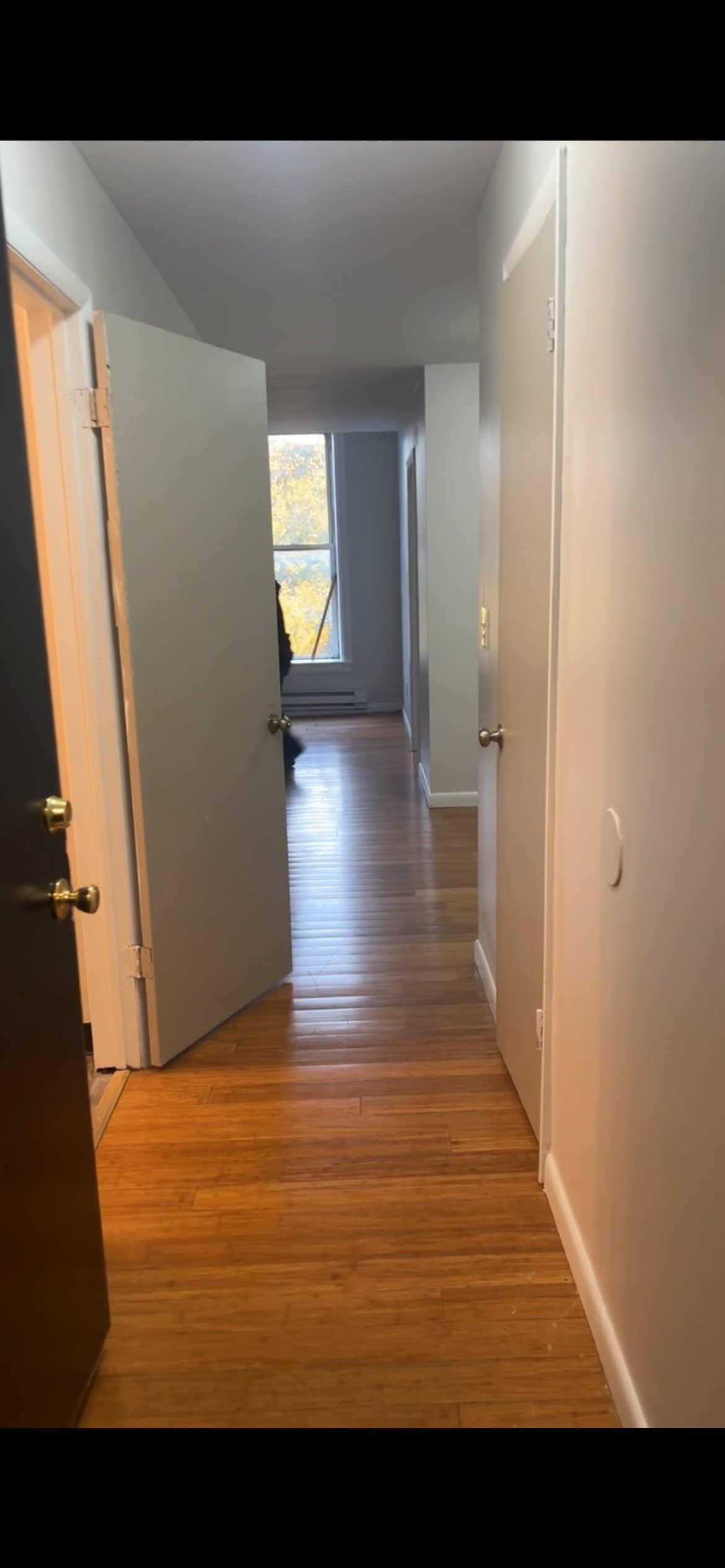 Looking for Roomate