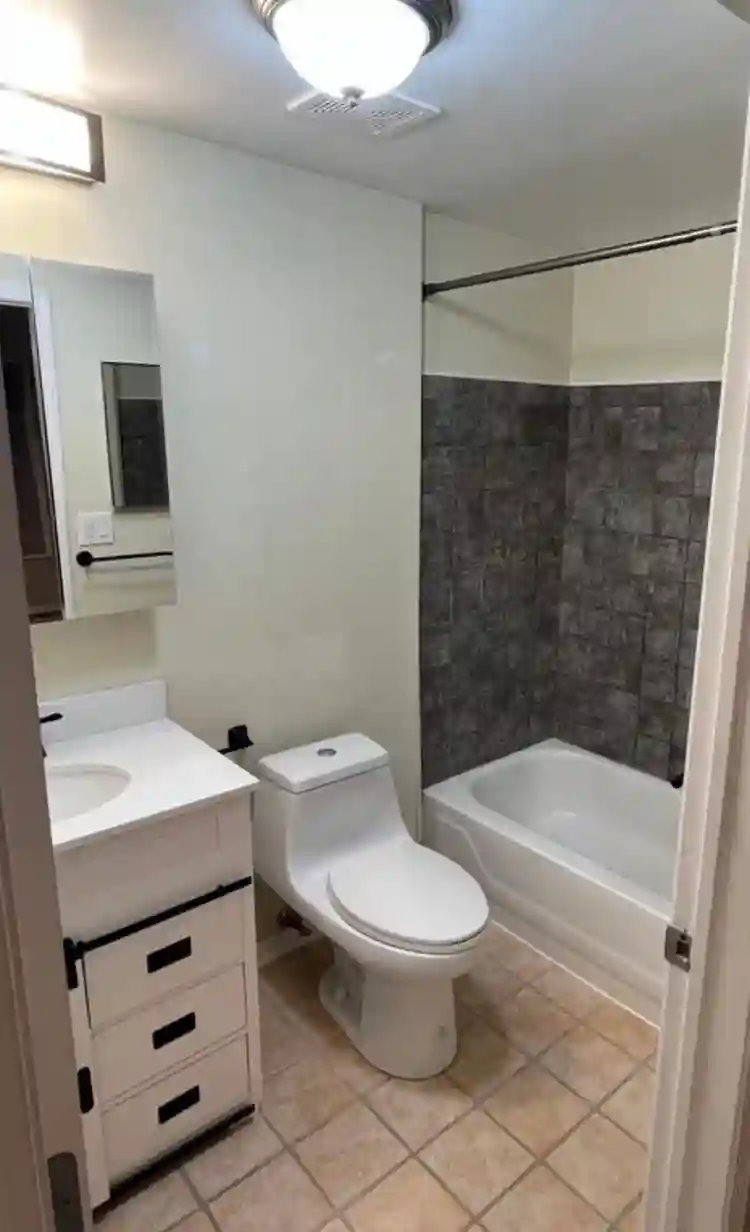 Beautiful EvanstonIL apartment