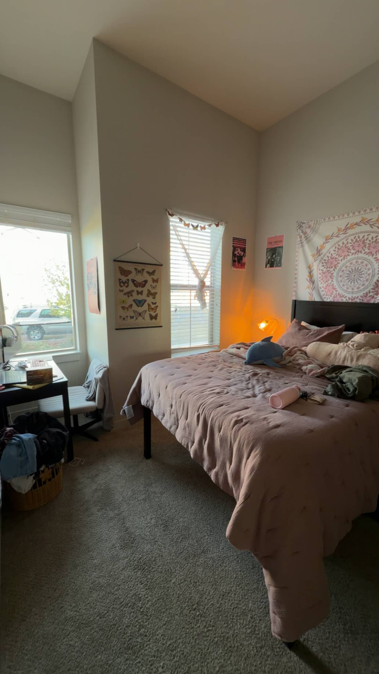 Looking for sublet