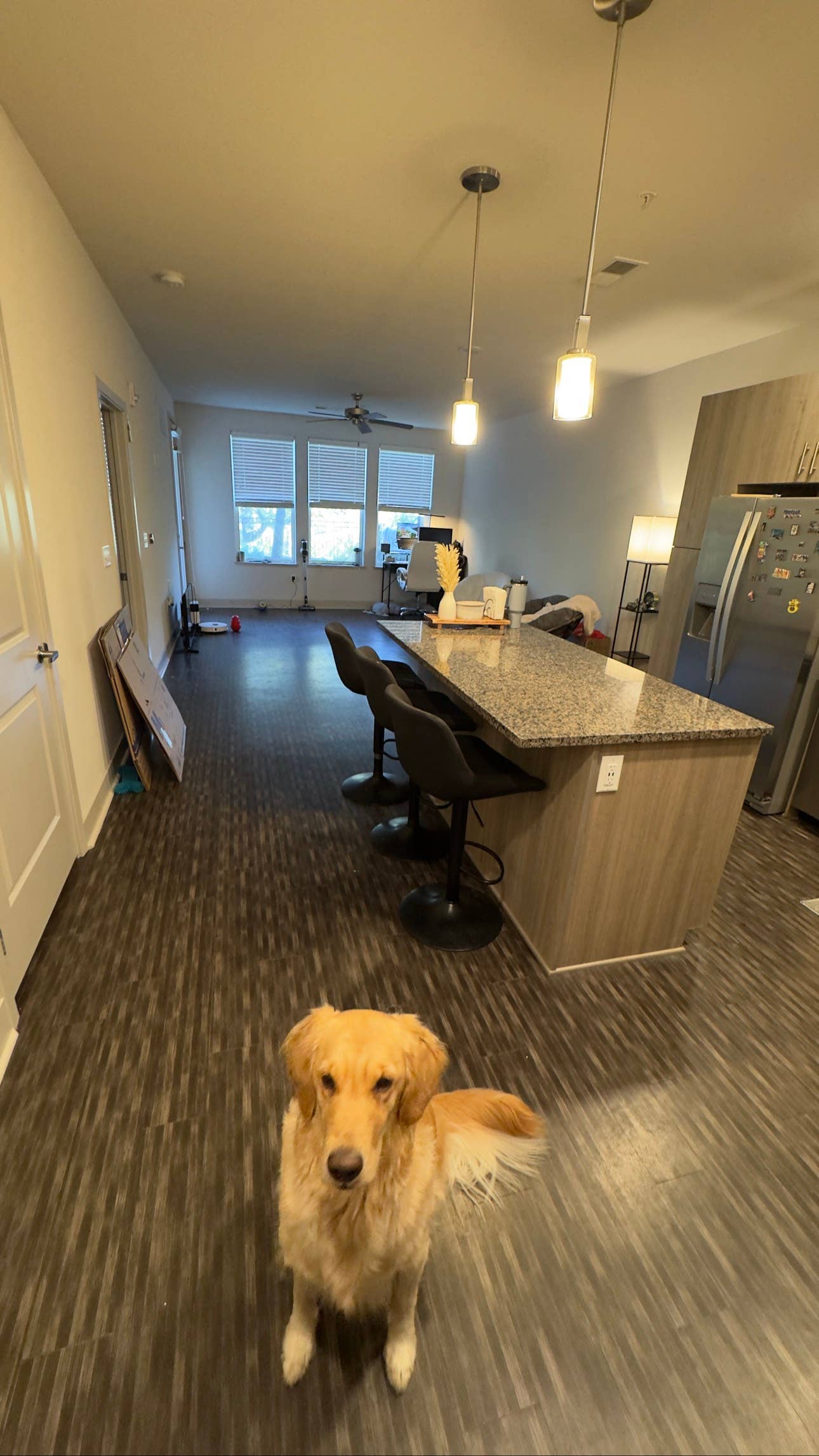 LEASE TAKEOVER - 1 BEDROOM APT
