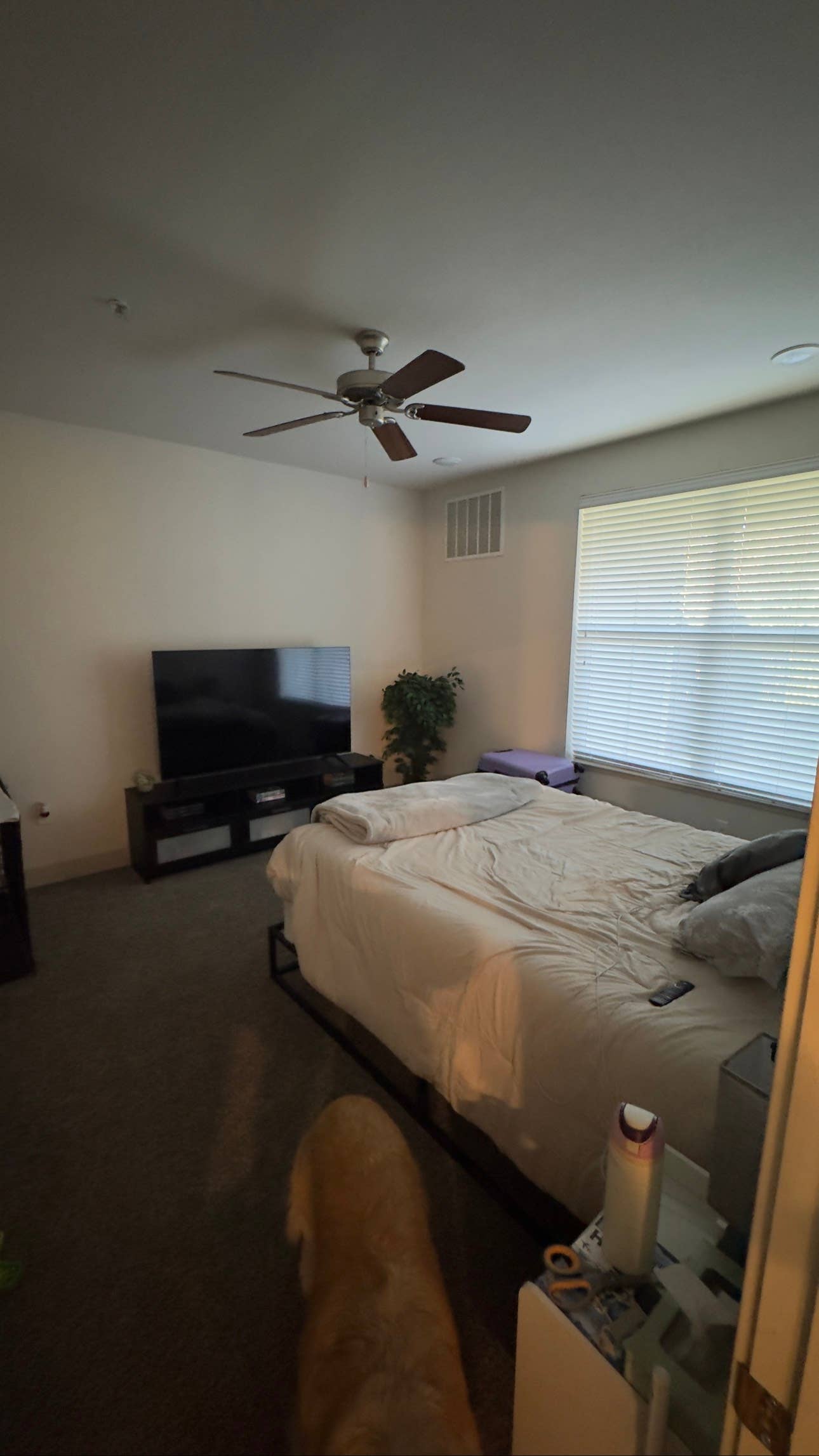 LEASE TAKEOVER - 1 BEDROOM APT