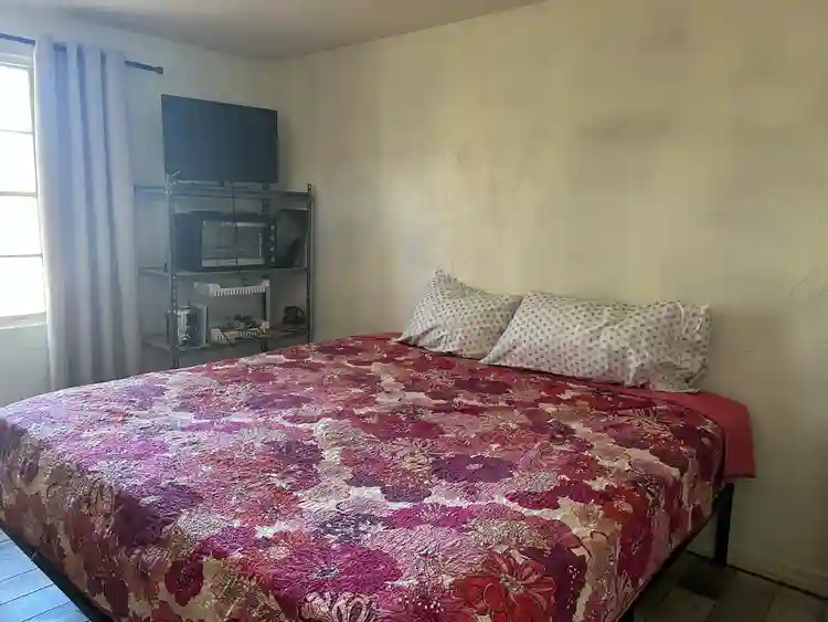 Looking for a Roomie