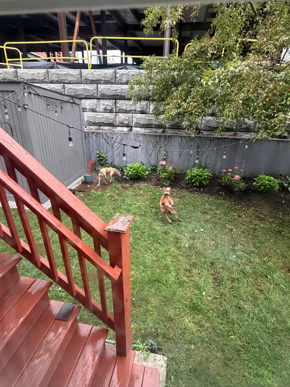 Somerville apartment available!