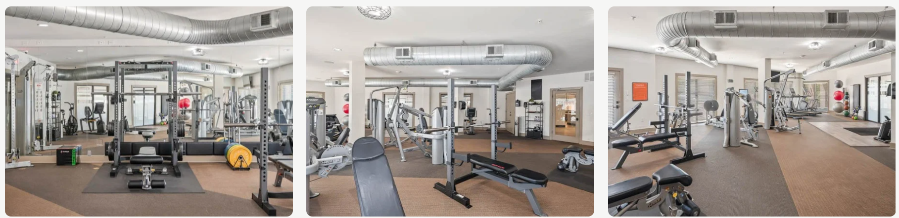 The Phoenix - 1BR, FTW, Nov 15th