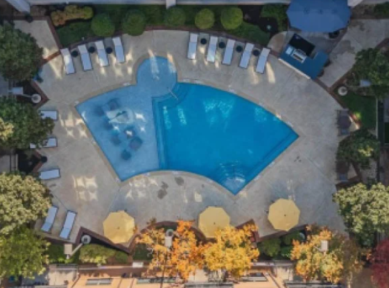 The Phoenix - 1BR, FTW, Nov 15th