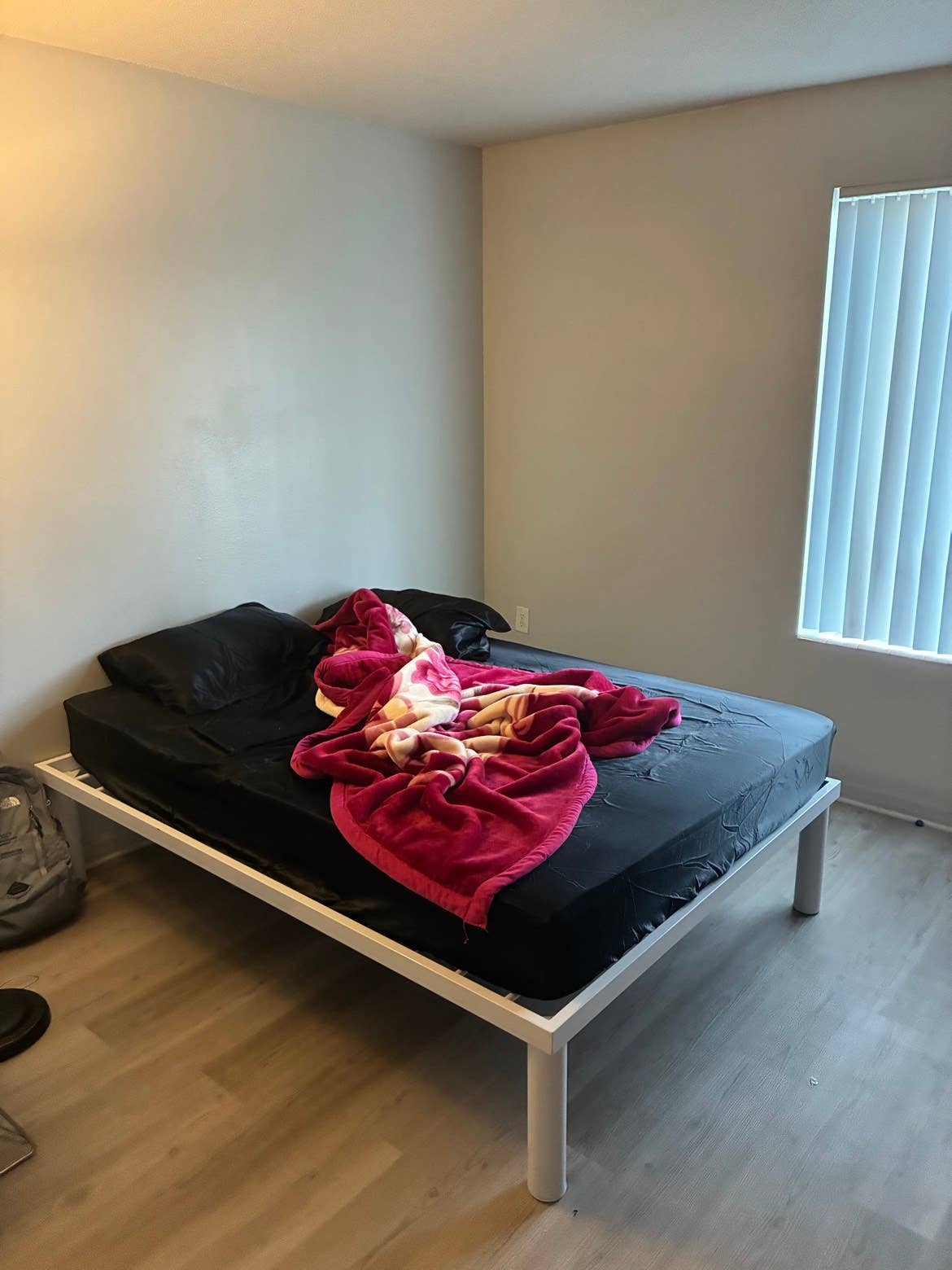 1B1B apartment available