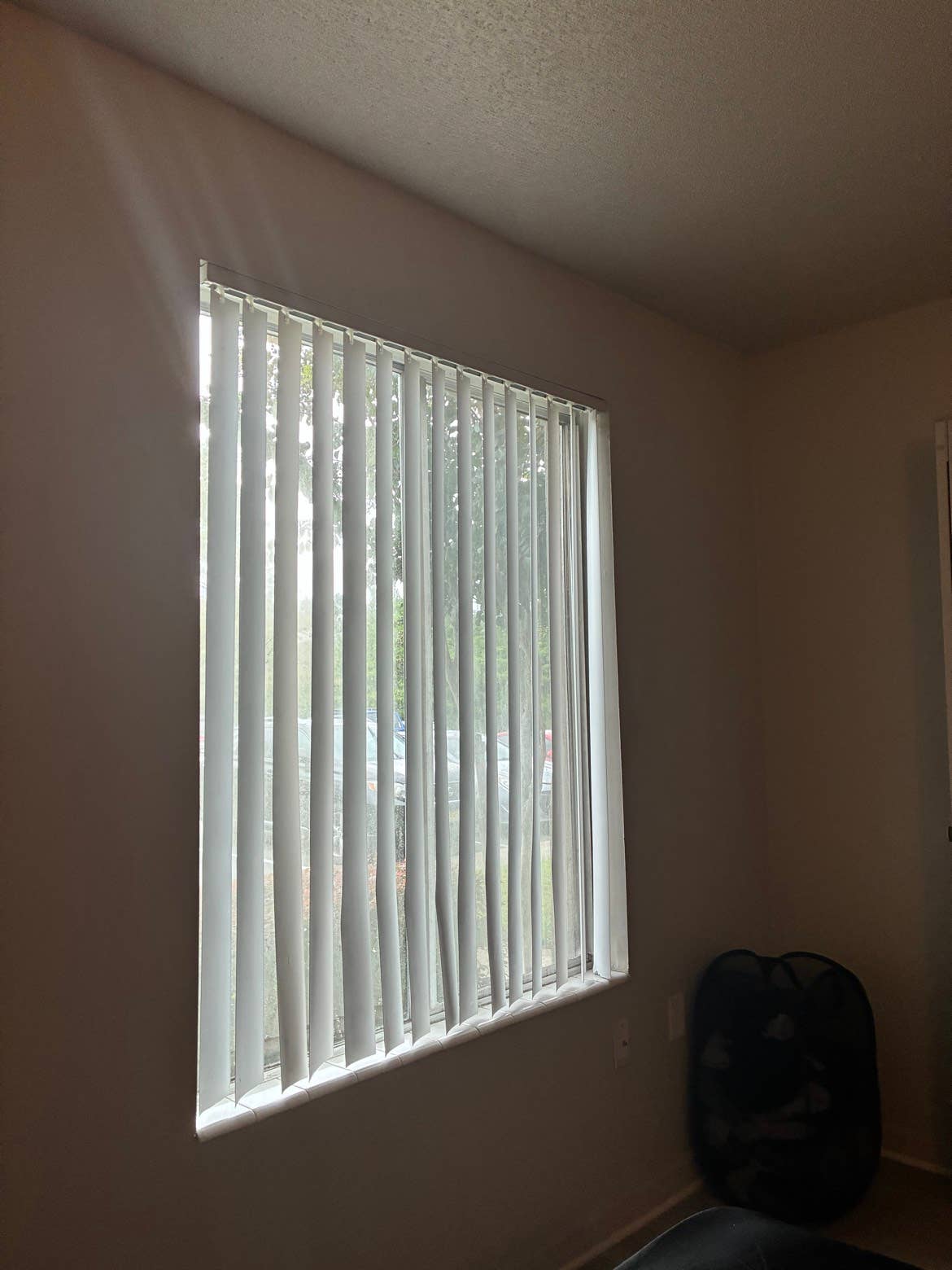 1B1B apartment available