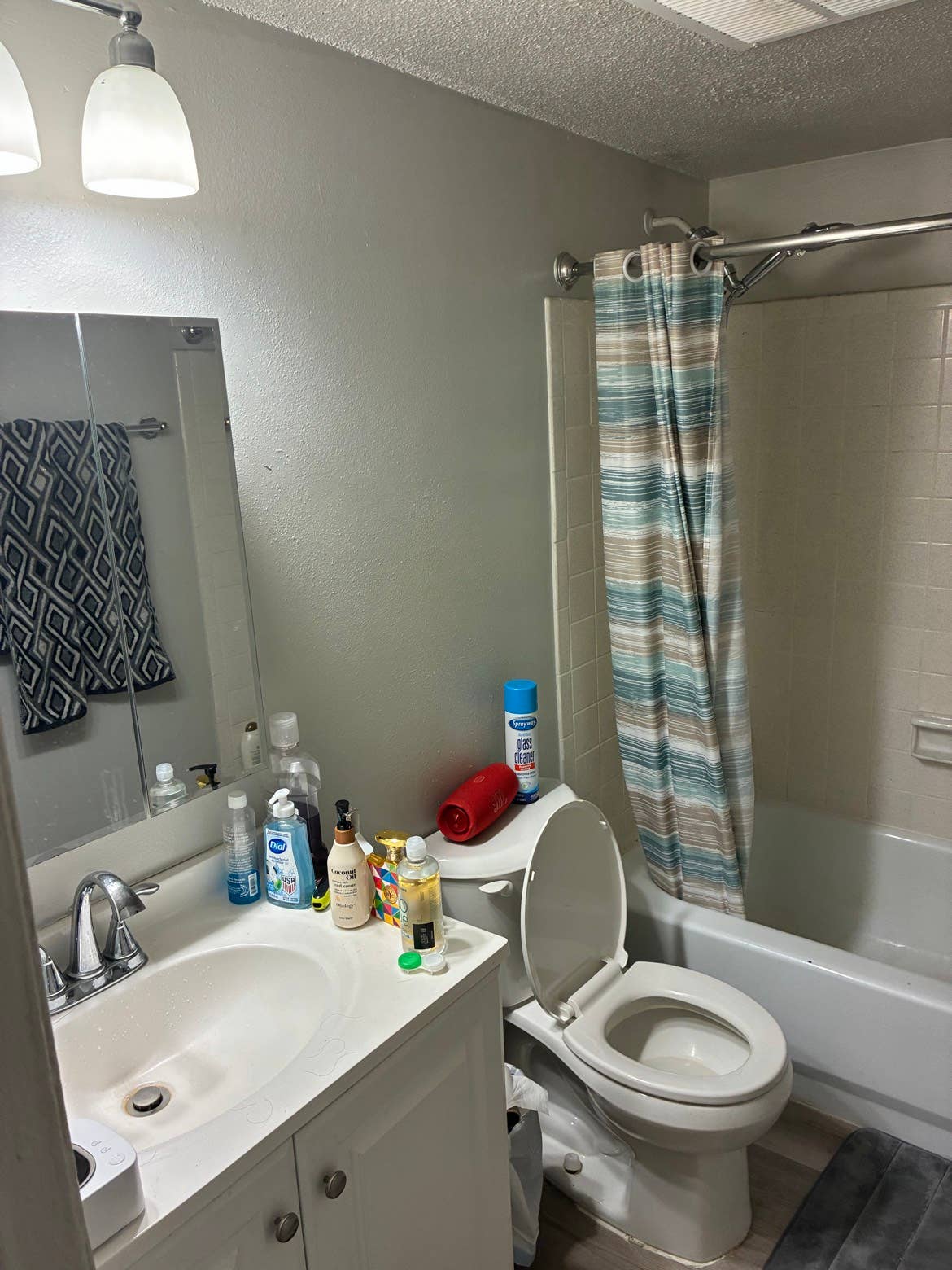 1B1B apartment available