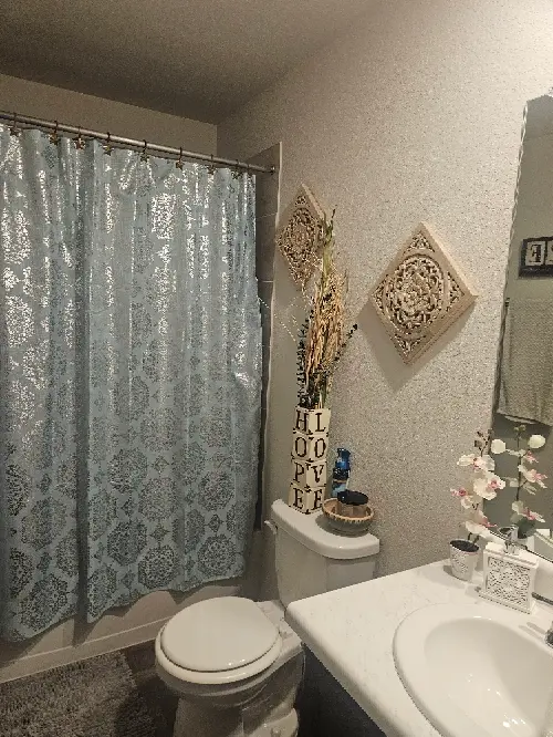 Cozy room looking for a renter 800