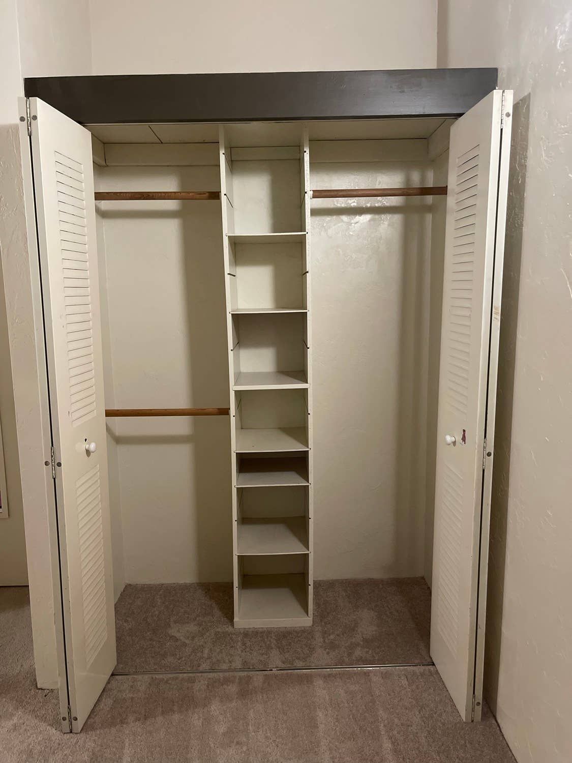 Shared Room Available