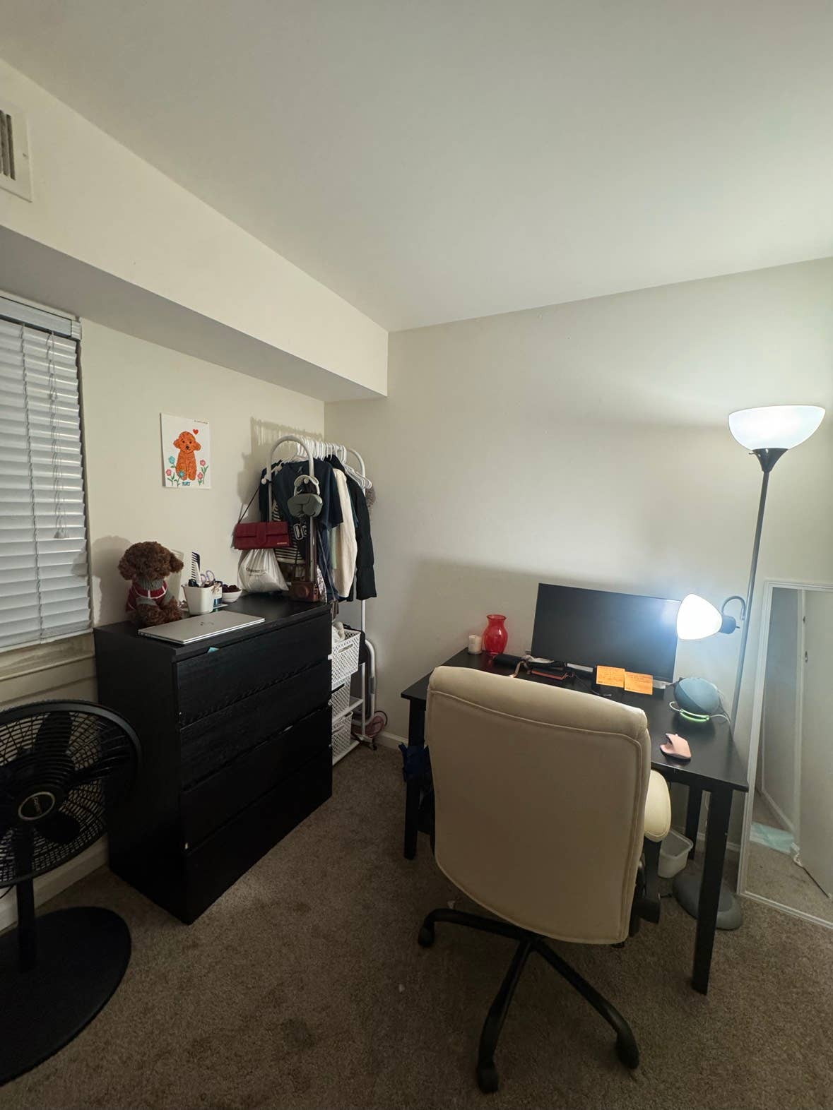Looking for a roommate - Audubon PA