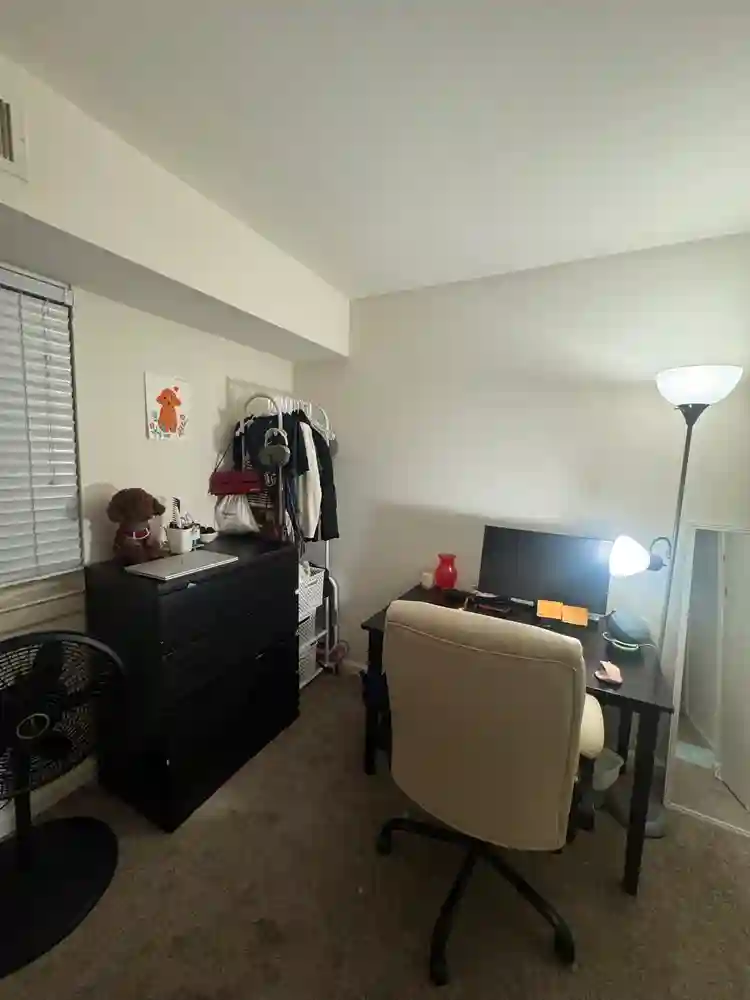 Looking for a roommate - Audubon PA