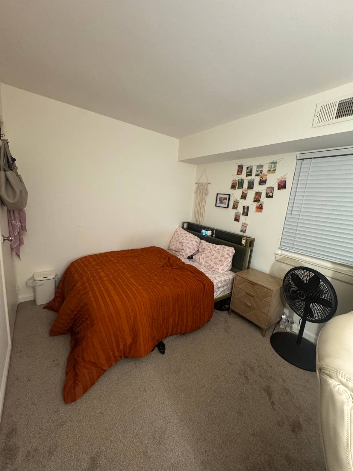 Looking for a roommate - Audubon PA