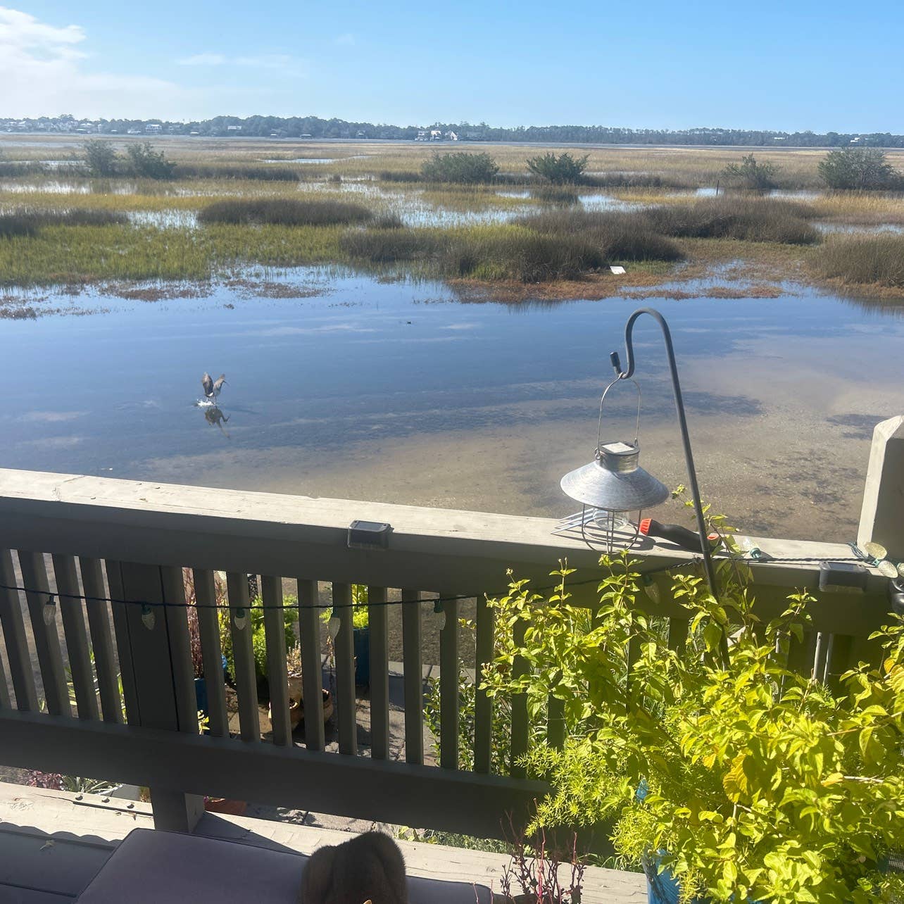 Marsh views Private Bedroom