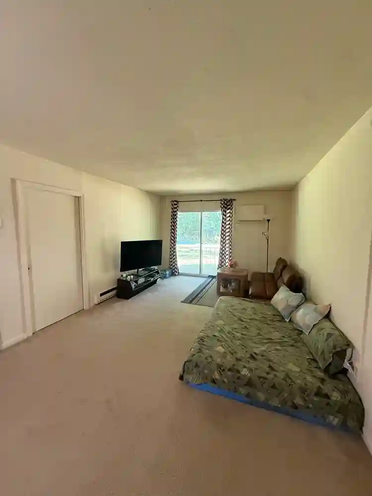 Looking for a roomate
