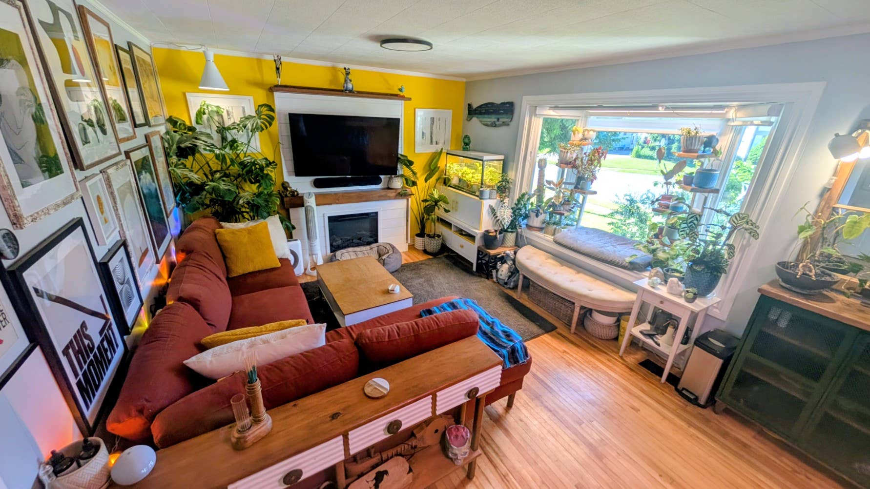 Furnished Room - Just one housemate