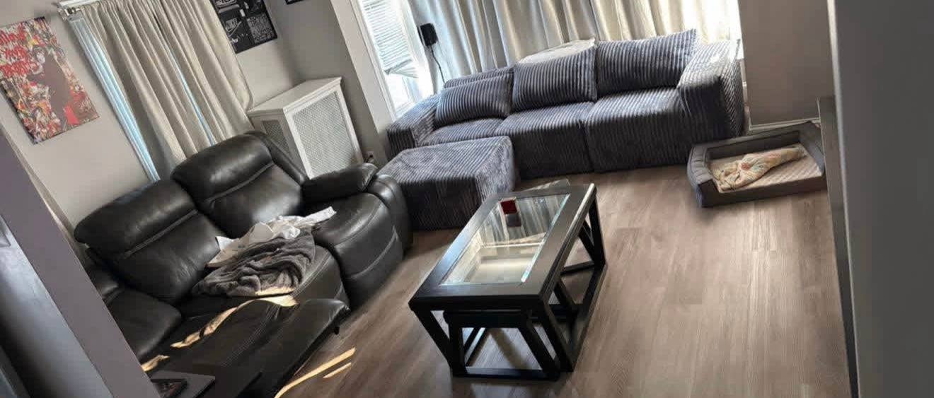 Large Furnished room for rent 11/1!