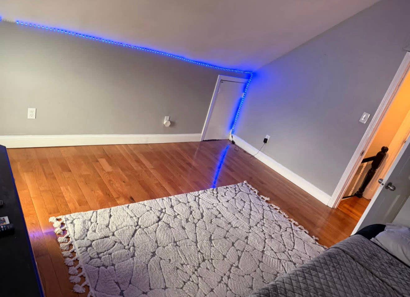Large Furnished room for rent 11/1!