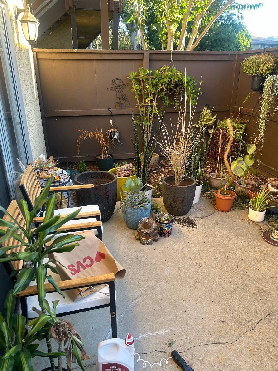Looking for Roommate in Brea CA