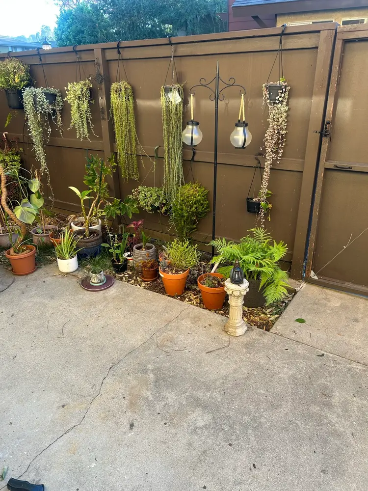 Looking for Roommate in Brea CA