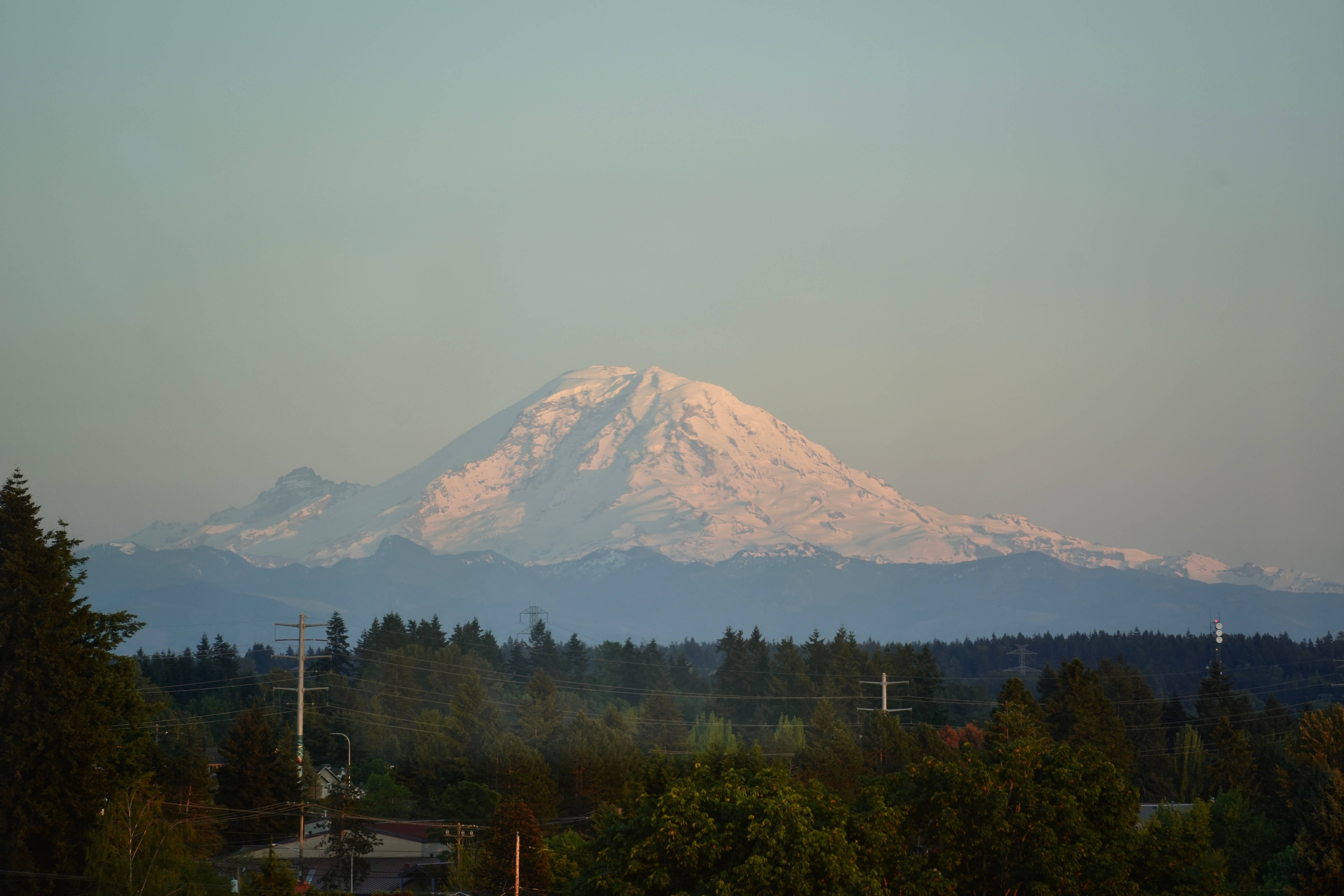 Renton 1B1B Apartment