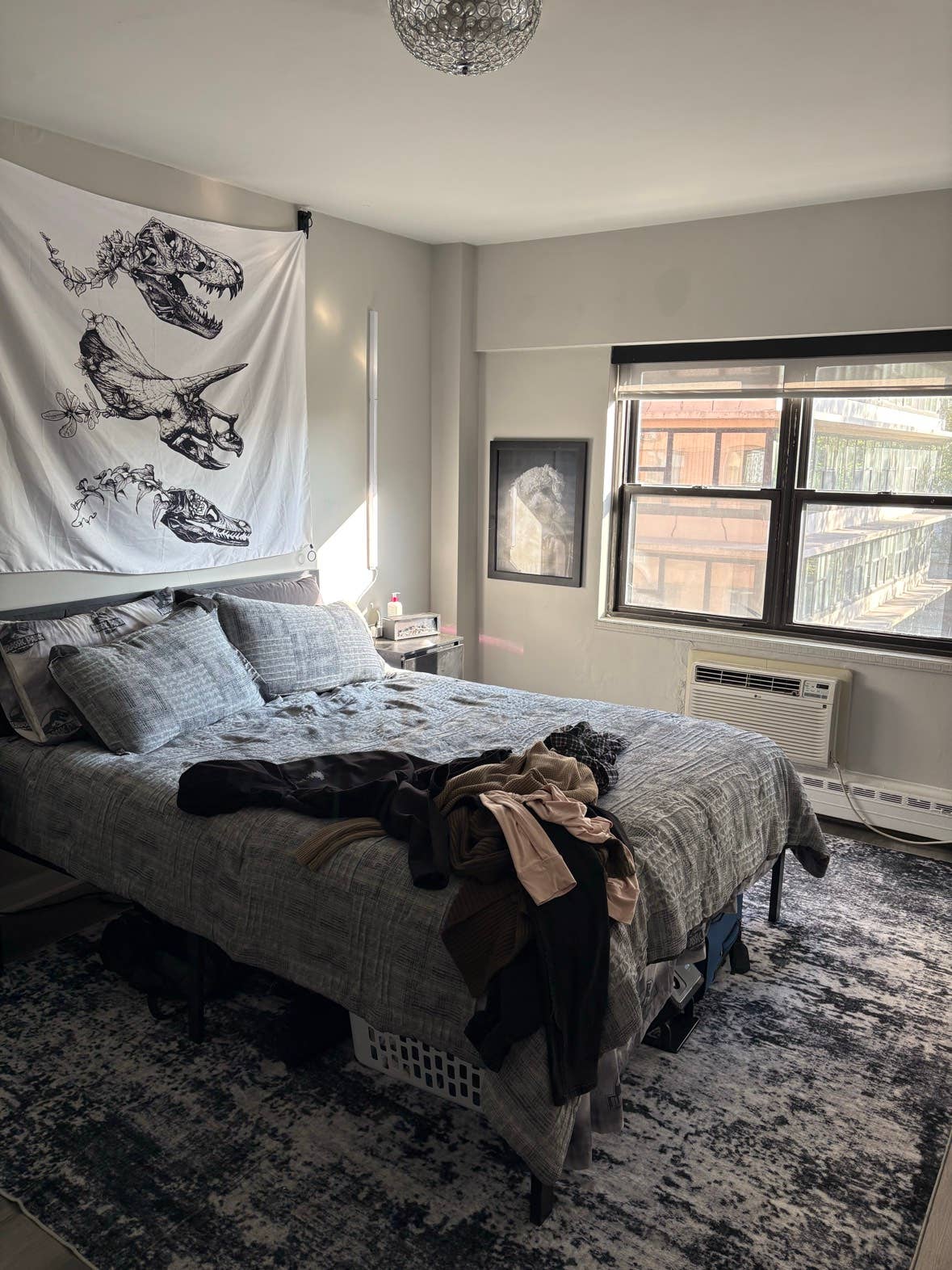 Looking to sublet