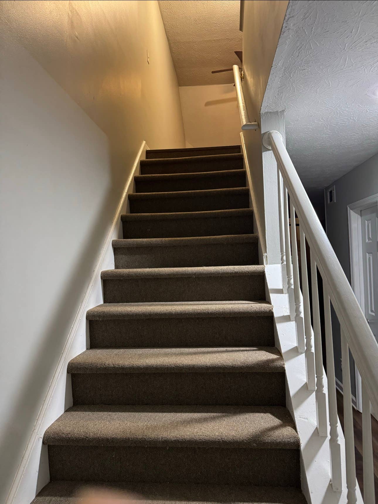 FOR RENT / Room rent