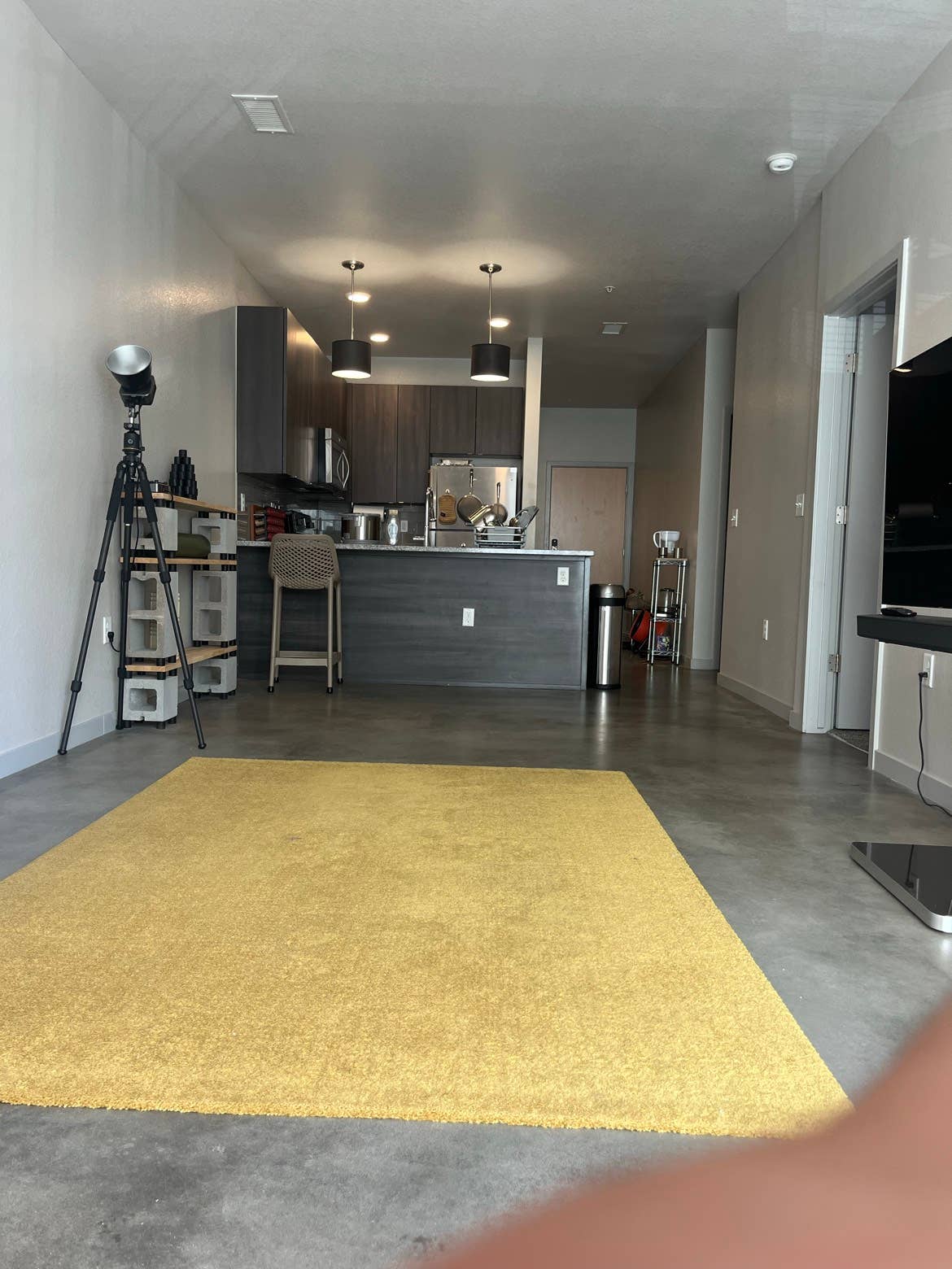 Seeking for an ADHD roommate