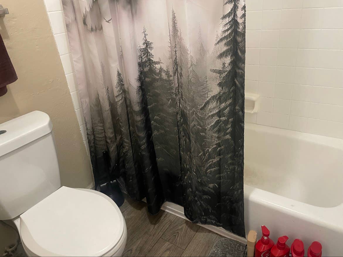 Roommate Wanted 2 bed 1 bath $700mo