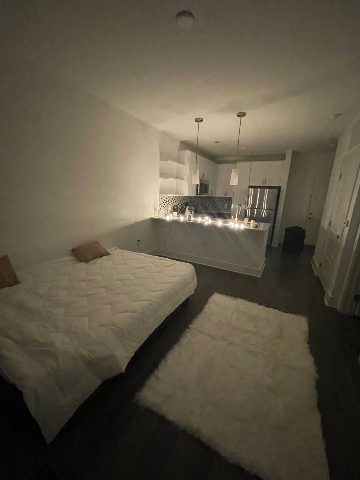 Room for Rent in cozy Southend Apt!