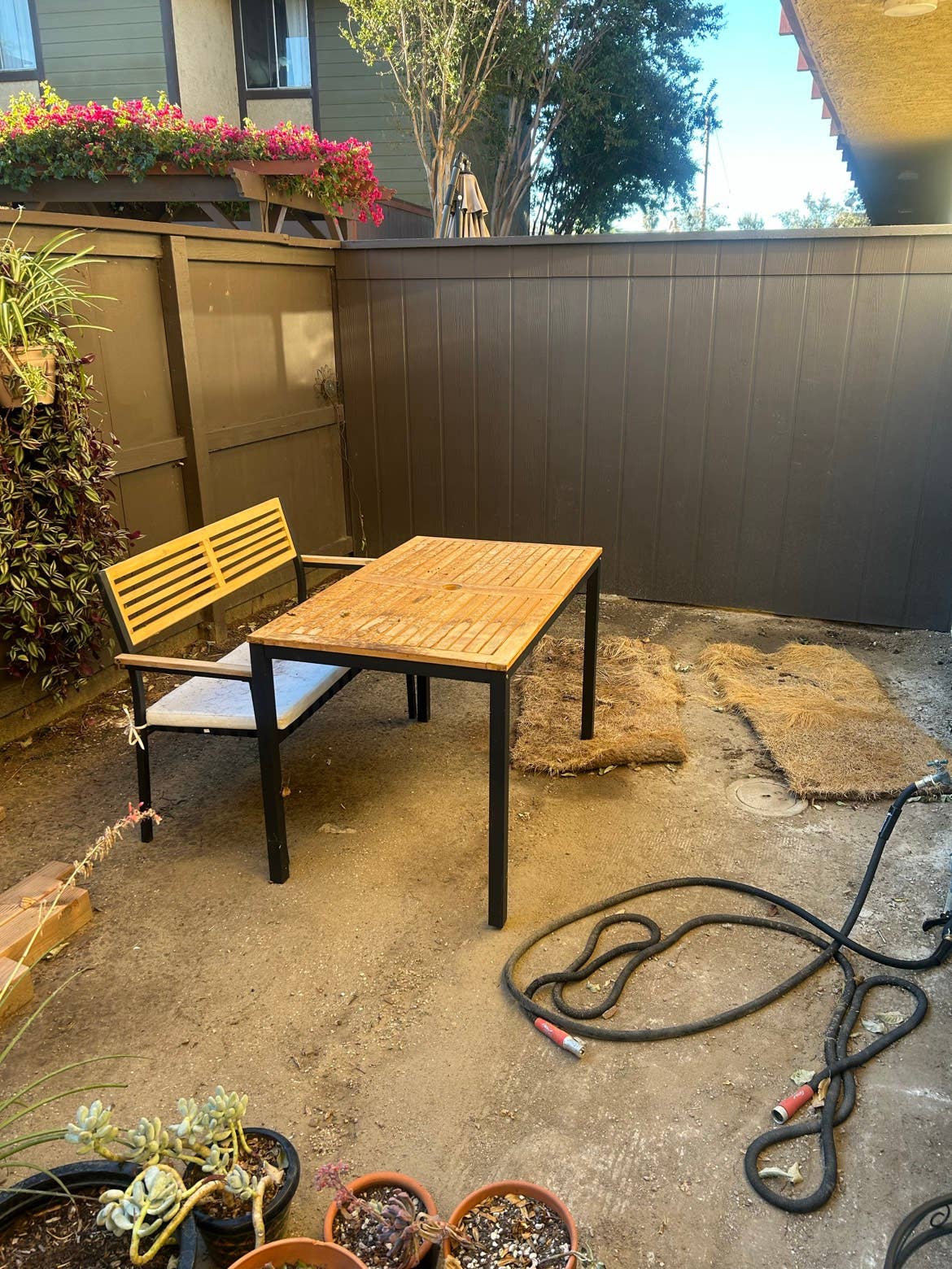 Looking for roommate in apartment
