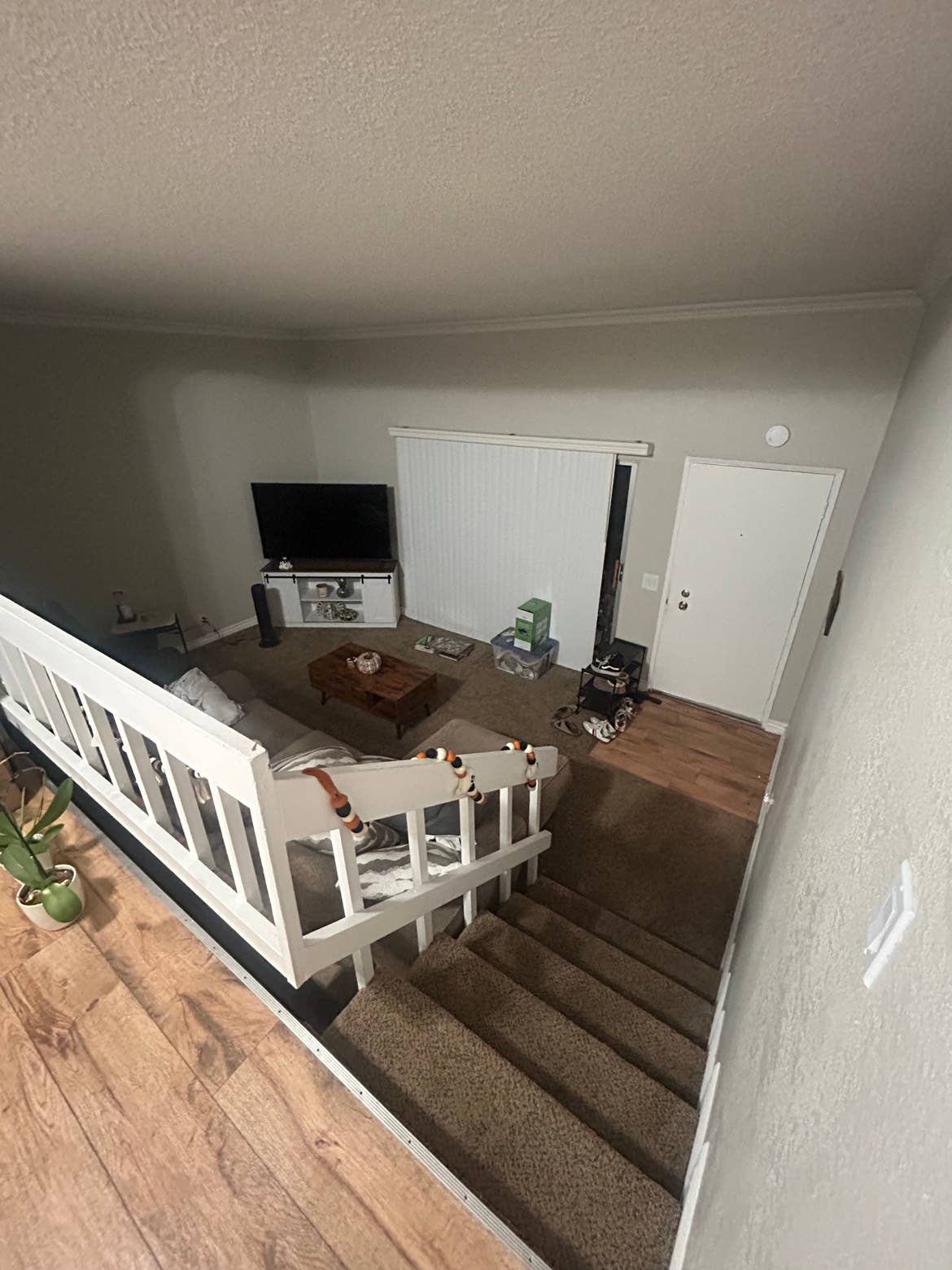 Looking for roommate in apartment