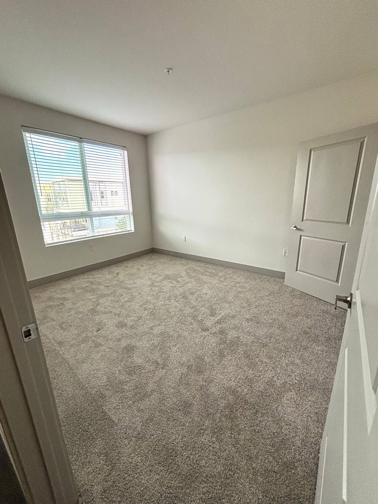 Roommate needed