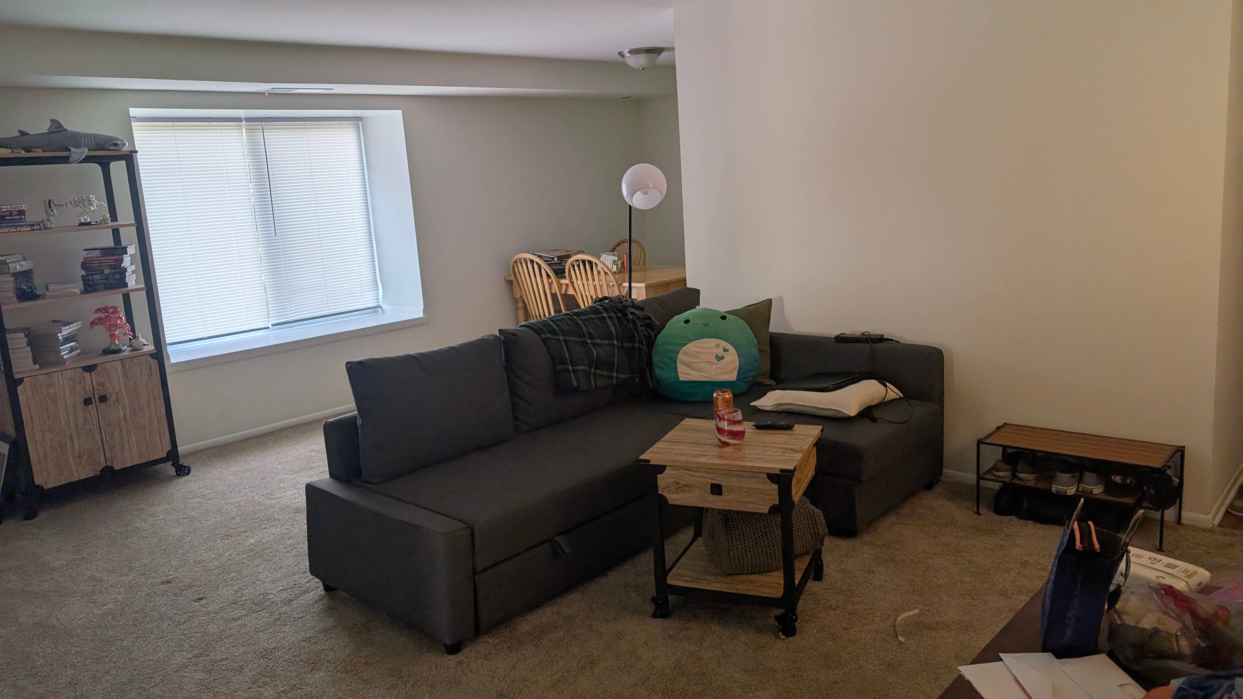 Room for rent in a 2br1ba apt