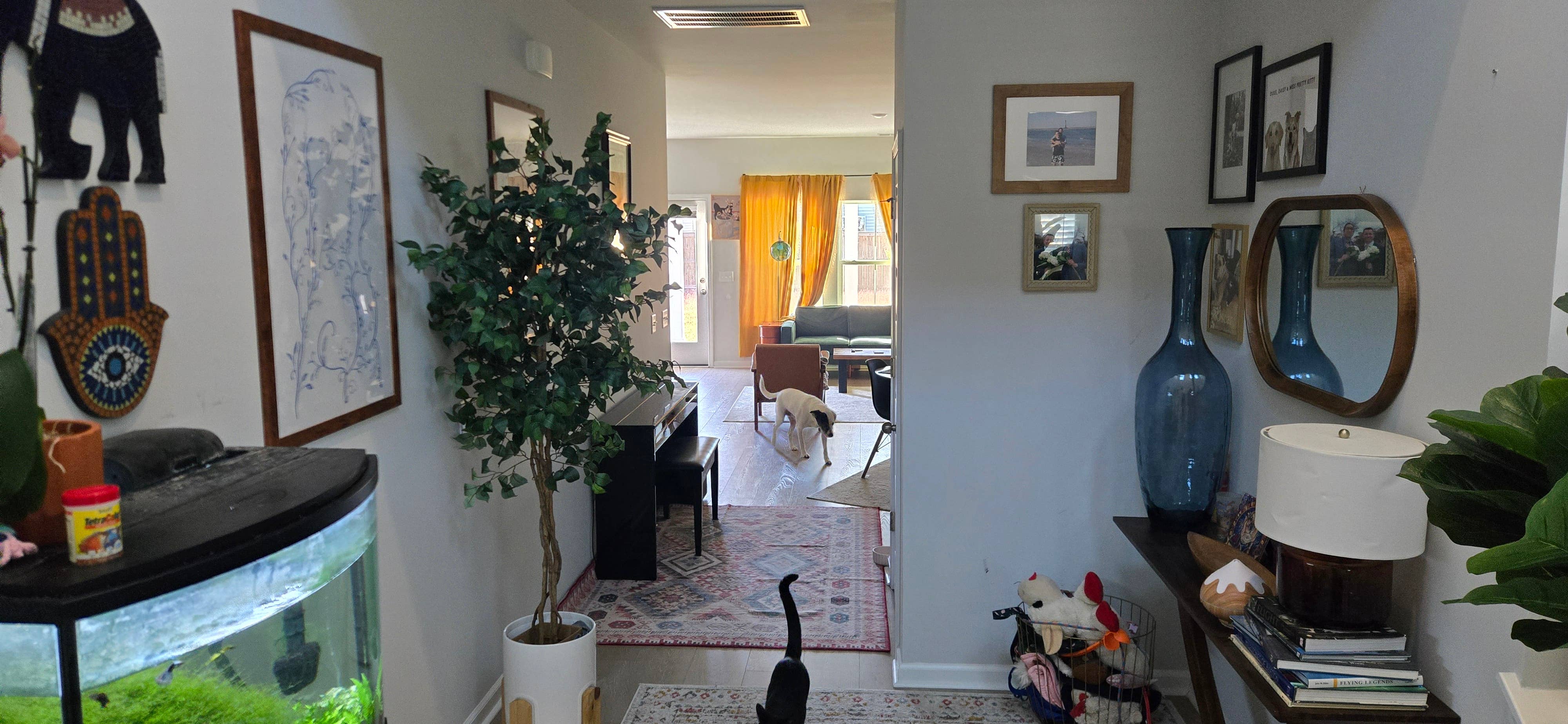 New Listing