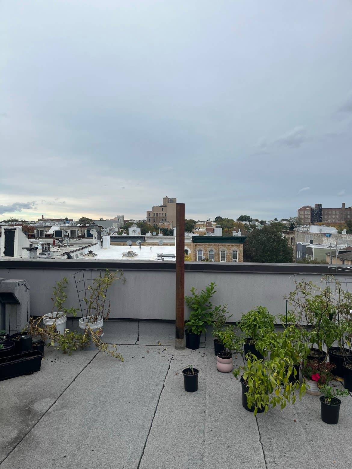 2 Bed/1 bath in ridgewood off LM