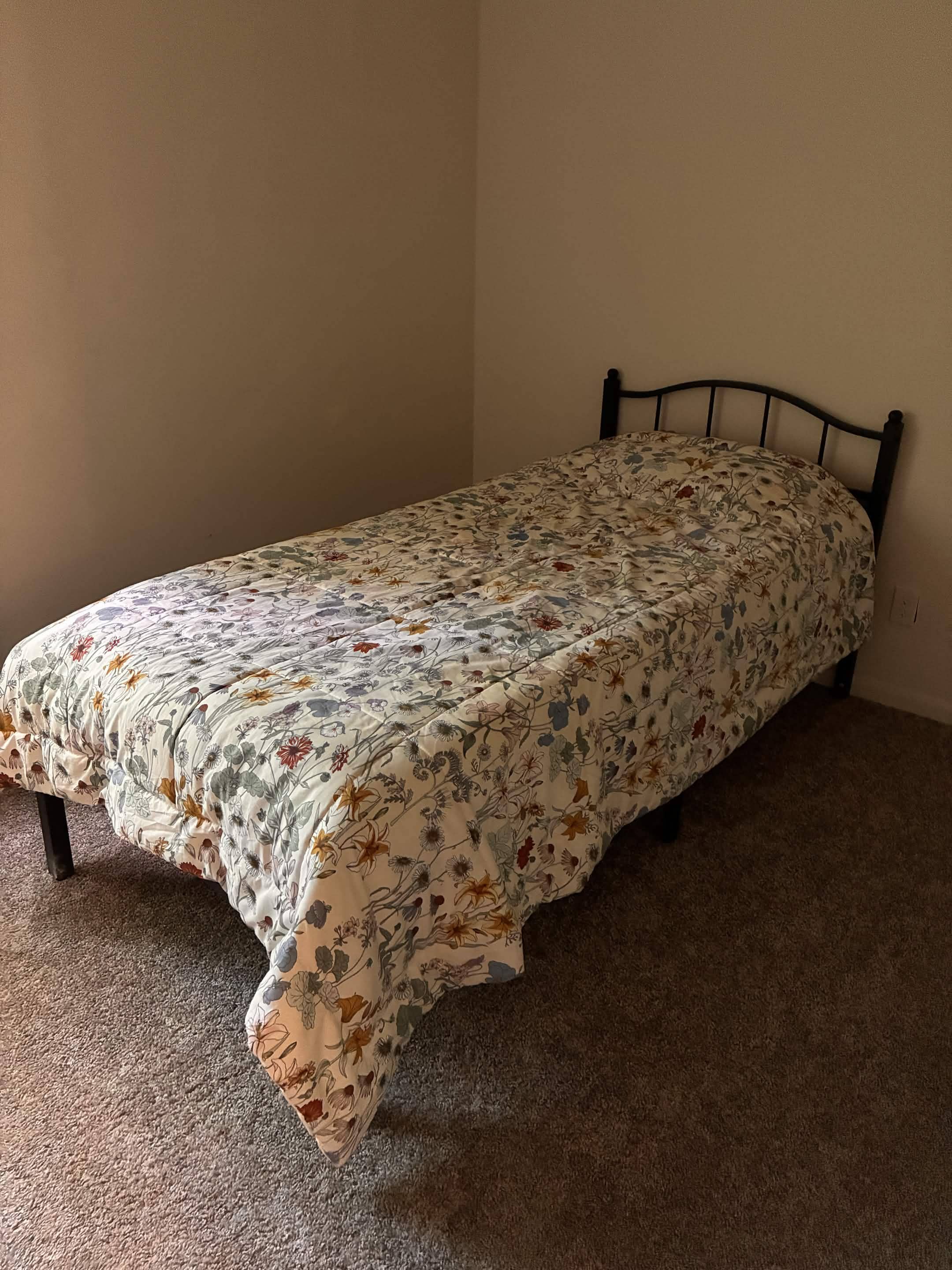 Looking for a Female Roommate!