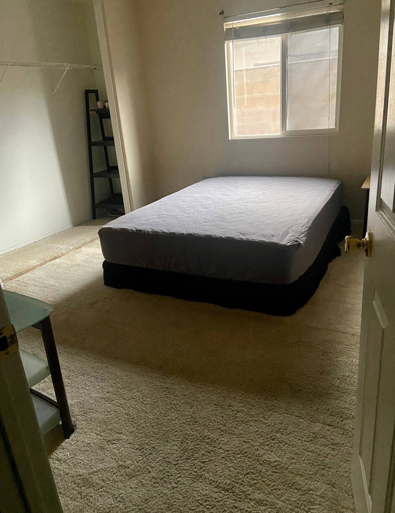 Seeking Roomate