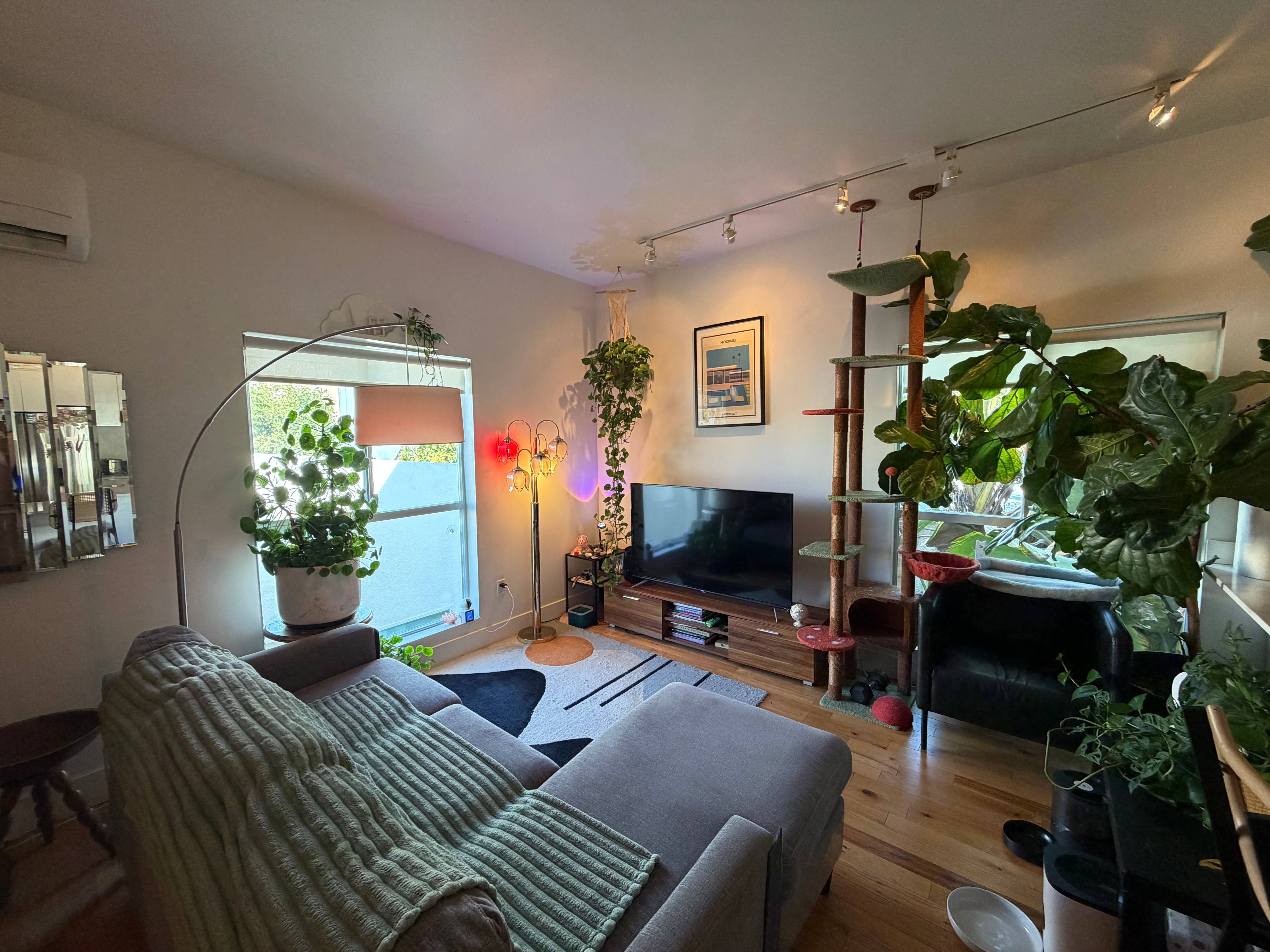Private Room avail in Silver Lake
