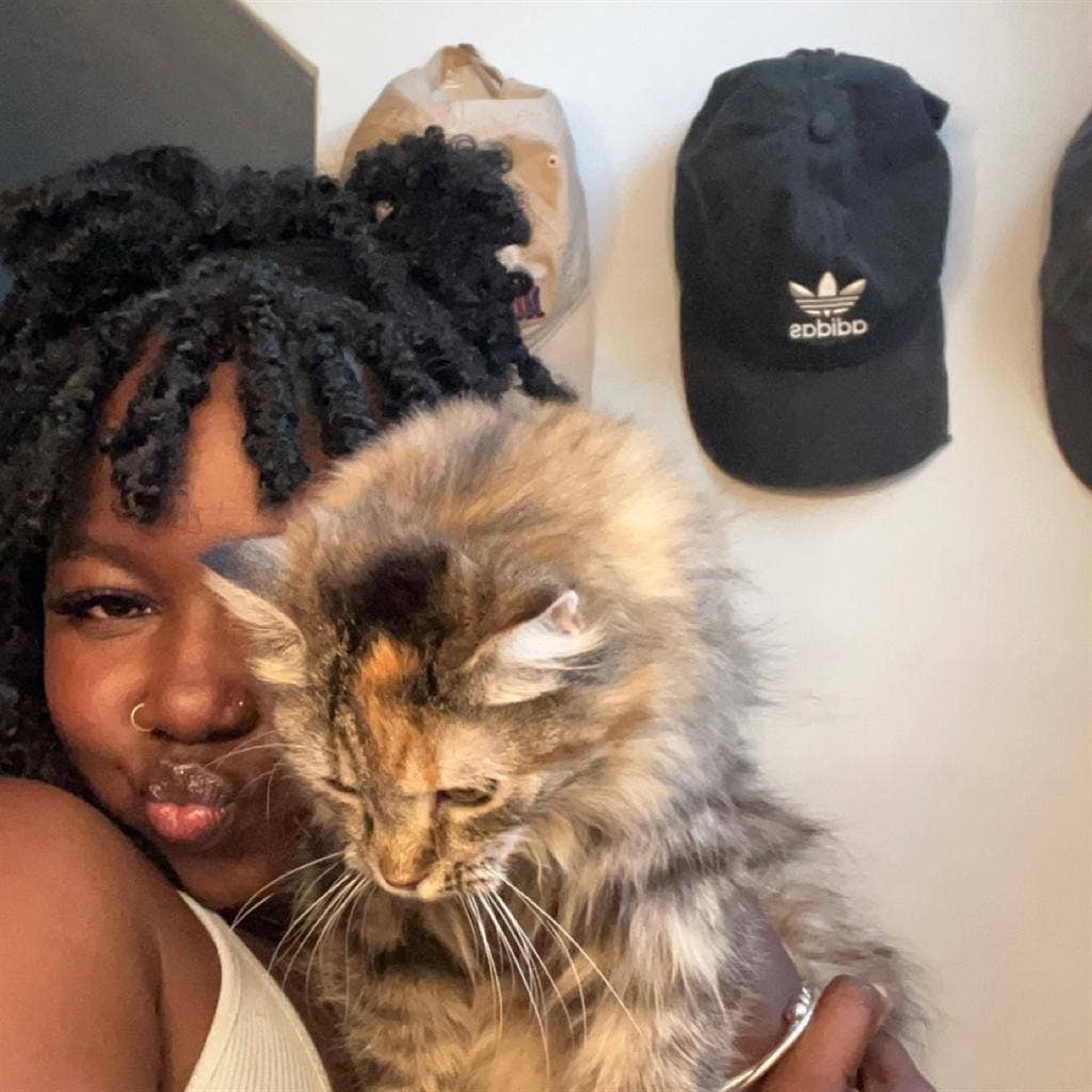 Wanna be roommates ?