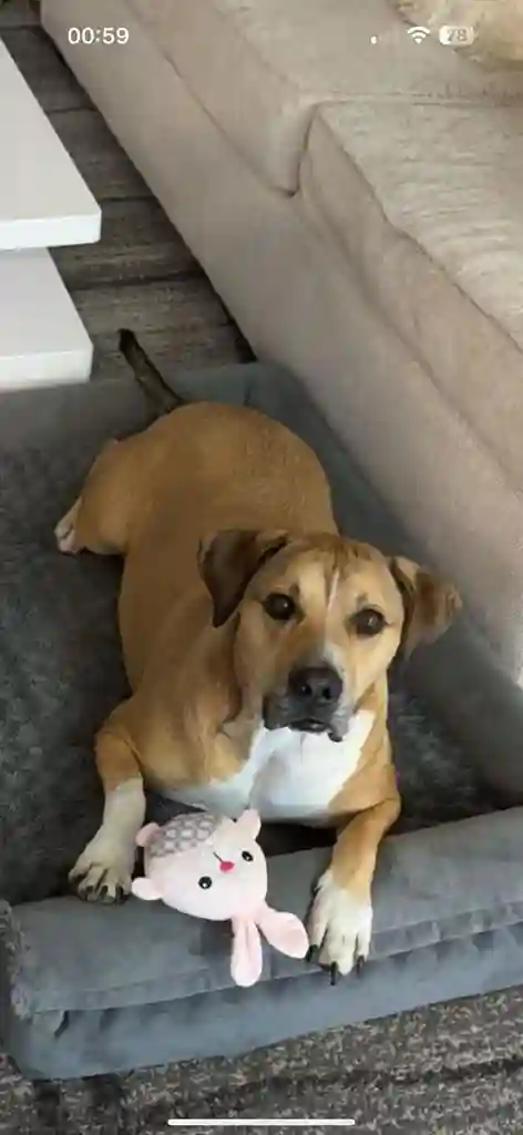 Looking for master bedroom