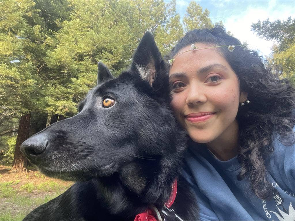 Room or Studio for rent