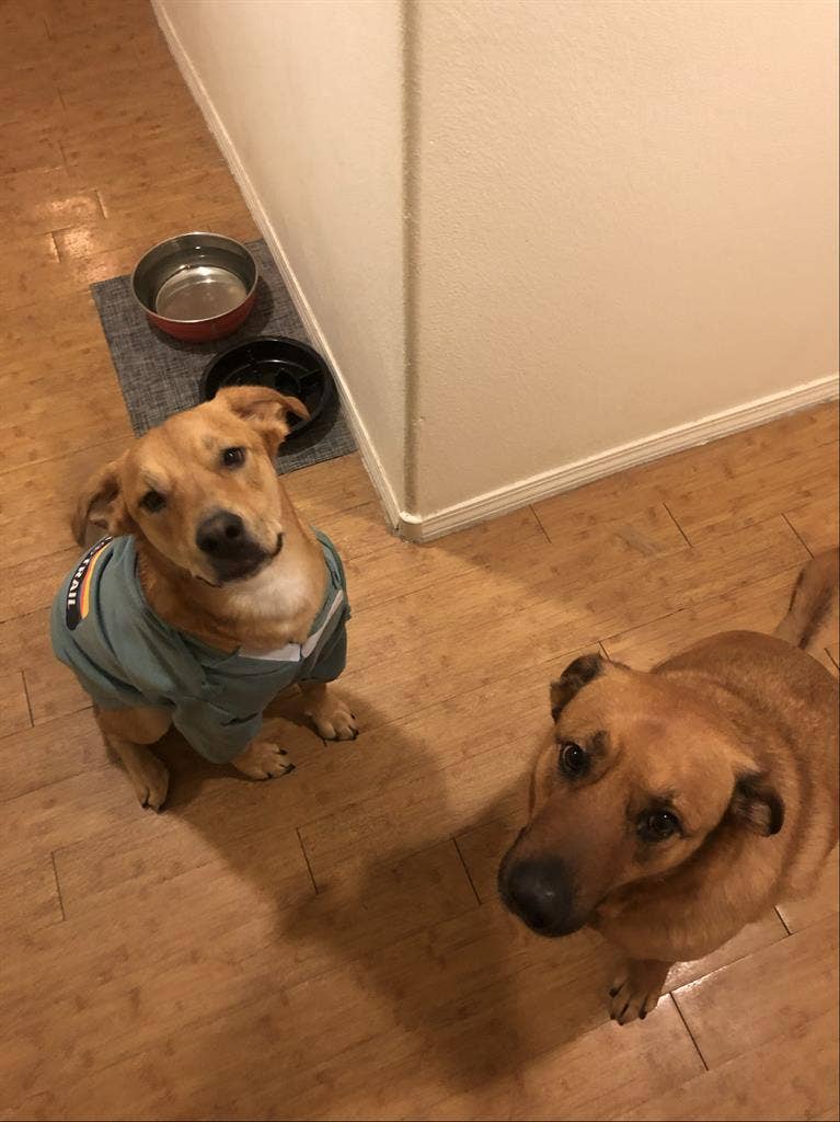 Looking to move Dec !!