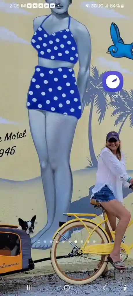 Looking for a professional roommate