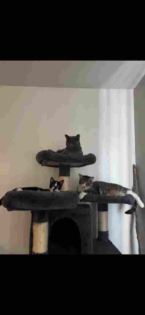 Young couple looking for room!