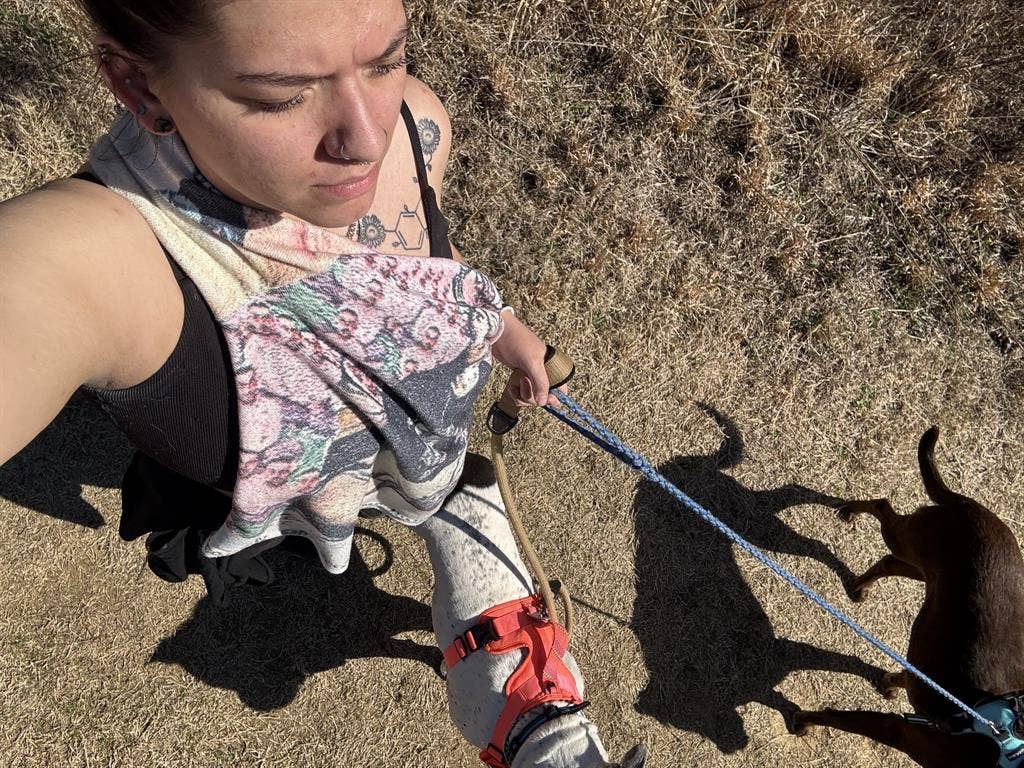 Chill and Pet-Loving Roomie Request