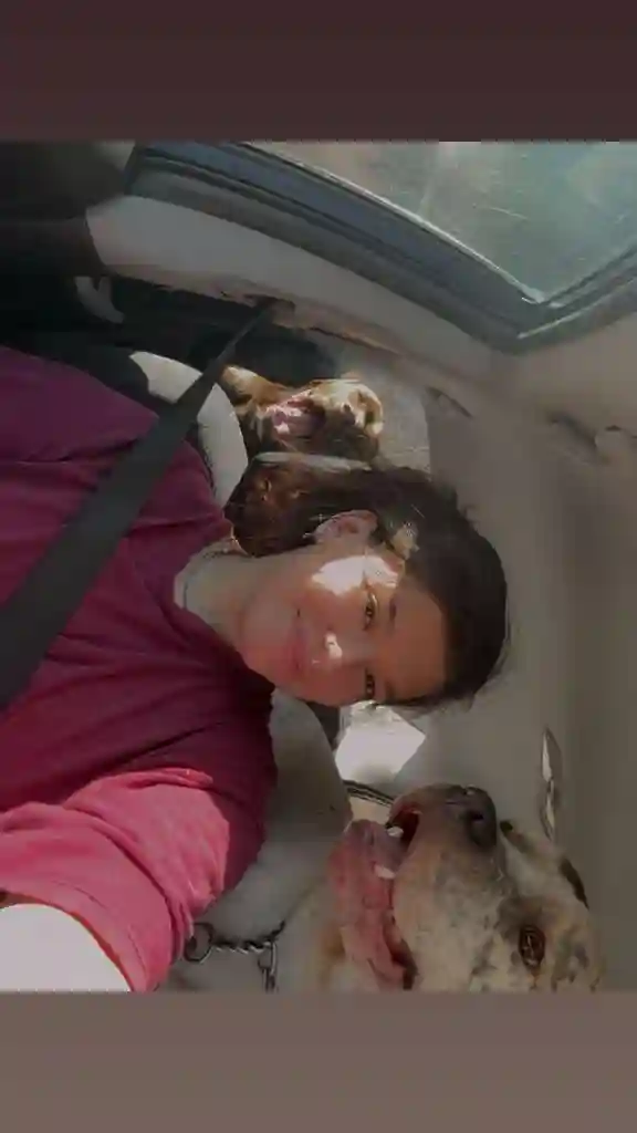 Chill and Pet-Loving Roomie Request