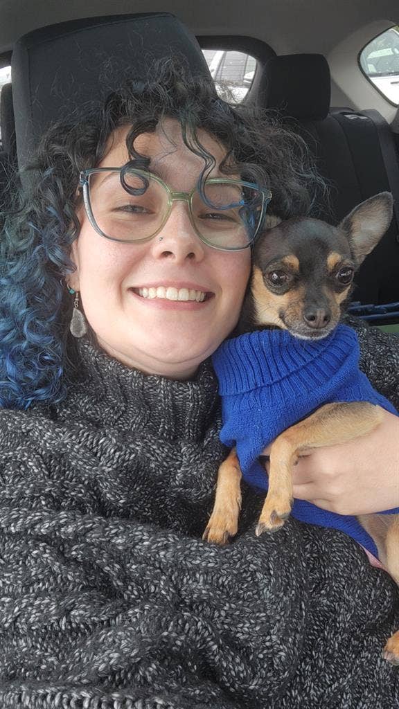 I have a chihuahua and reptiles.