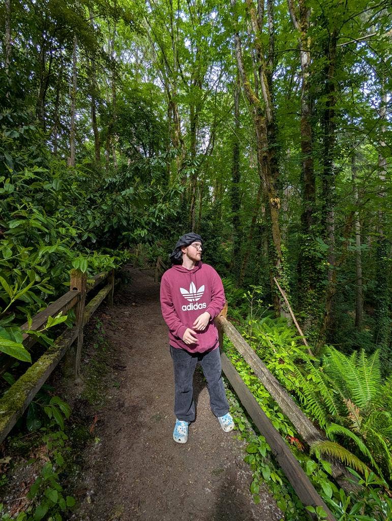 I'm looking for rooms in Everett !